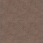 BORDO-GOBI-CONCEITO