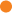 Camel SM